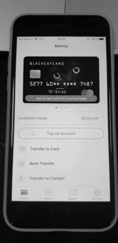 Screenshot of Blackcatcard of a virtual cat jumping in the screen while you navigate the app