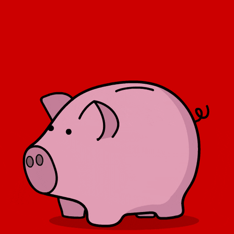 Money going into a savings pig bucket