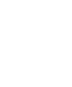 vector-img